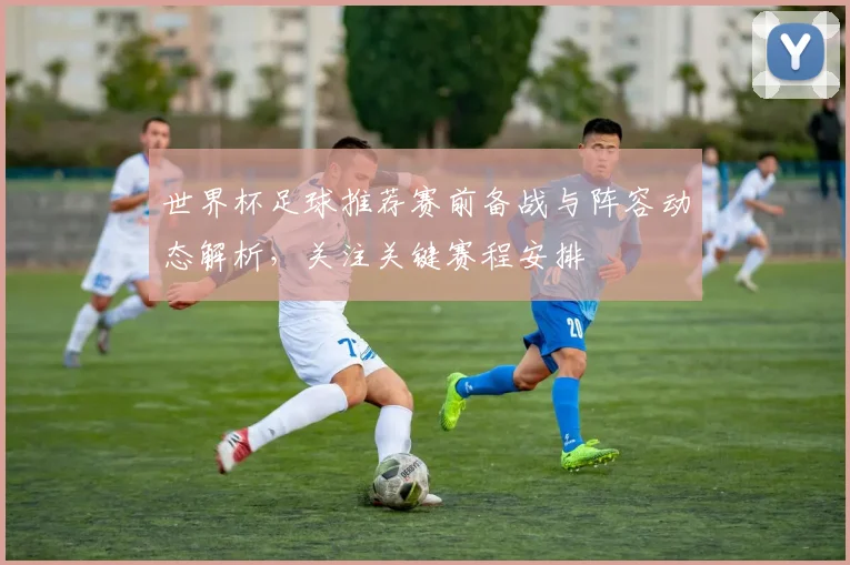 世界杯足球推荐赛前备战与阵容动态解析,关注关键赛程安排
