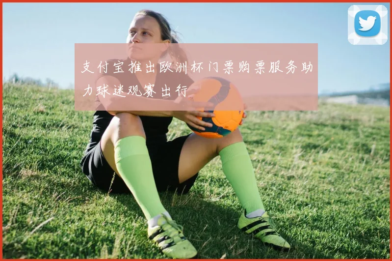 支付宝推出欧洲杯门票购票服务助力球迷观赛出行