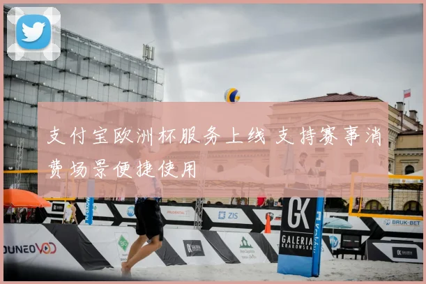支付宝欧洲杯服务上线 支持赛事消费场景便捷使用