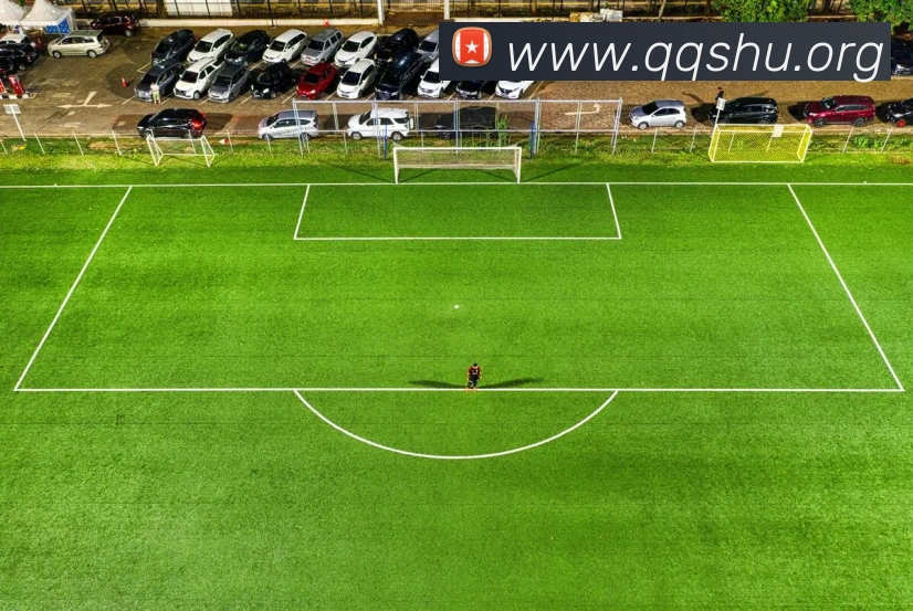 世界杯开户平台平台生态图